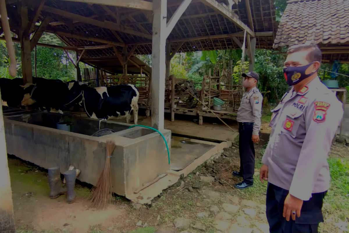 Dua petugas Polsek Kasembon melakukan Patroli ke kandang ternak milik warga. (ist) - Polsek Kasembon Imbau Peternak Jaga Kebersihan Hewan dan Kandang - Antisipasi PMK