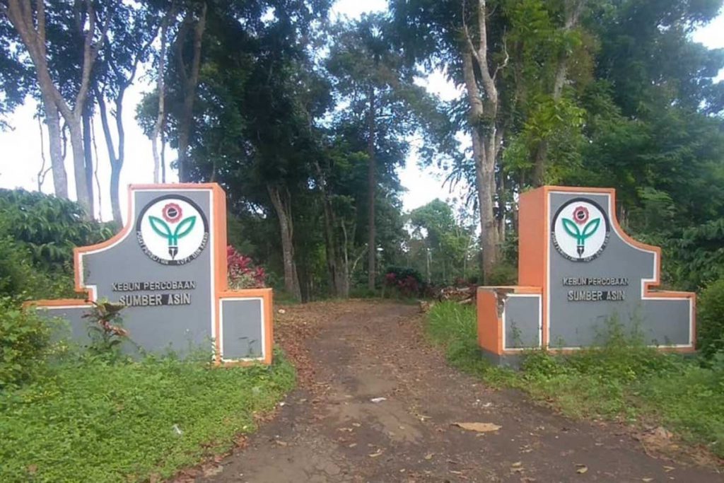 Gapura masuk Kebun Percobaan Sumber Asin, pusat penelitian kopi dan kakao. (ws6) - Ternyata Sejarah Kopi Robusta Indonesia Pertama Ditanam di Malang