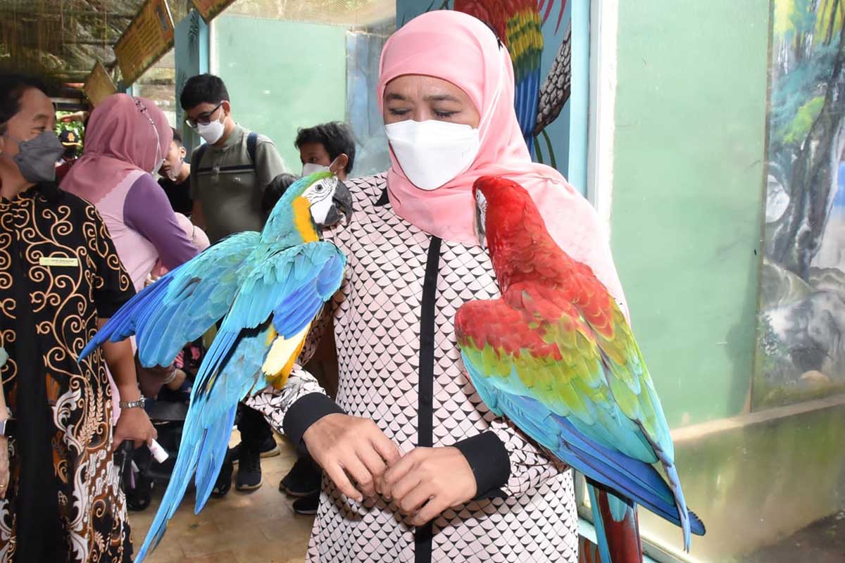 Gubernur Khofifah Minta Bupati dan Wali Kota Maksimalkan Infrastruktur Penunjang Pariwisata - Antusiasme Wisatawan Mancanegara Perlahan Pulih Pascapandemi
