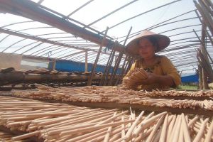 Proses penjemuran dupa. (ws6) - Permintaan Menurun, Harga Dupa Wagir Anjlok