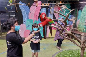 Salah satu kegiatan wisata di Kota Batu. (dik) - Kebijakan Lepas Masker Disyukuri Pelaku Wisata
