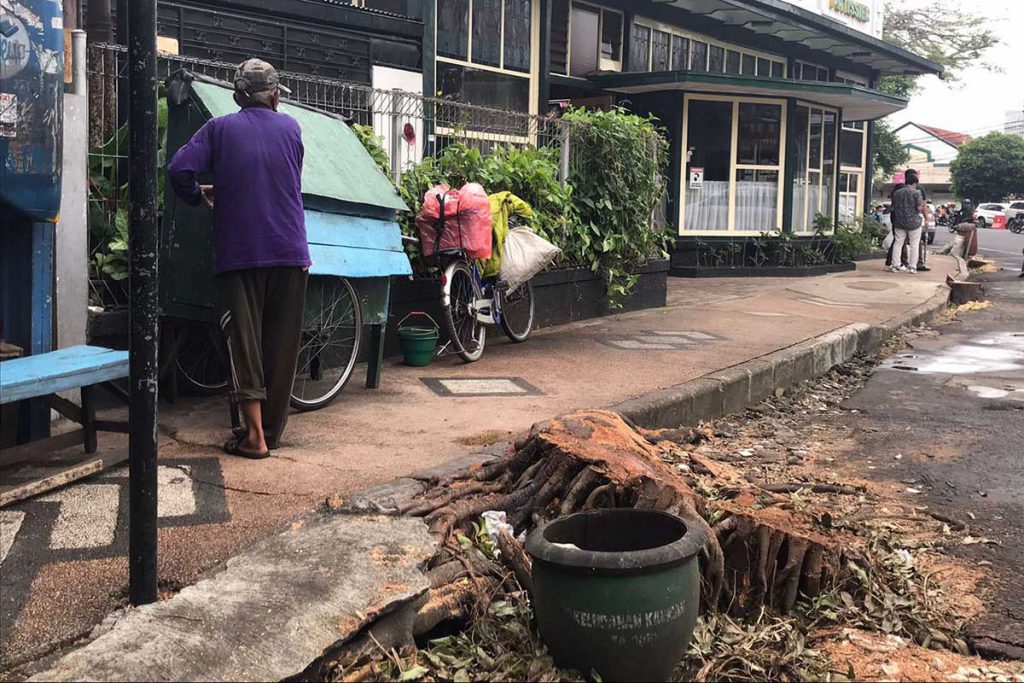 Sisa batang pohon yang ditebang, untuk perluasan area. (ist) - Pelebaran Zona III Kayutangan Heritage, Pohon-Pohon Mulai Ditebang