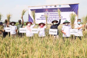 Bupati Blitar Rini Syarifah mengikuti panen bersama demplot tanaman padi kelompok tani Budi Luhur, Desa Bendosari, Kecamatan Sanankulon, Kabupaten Blitar. (leh) - Panen Padi Organik, Bupati Blitar: Potensi Yang Harus Dikembangkan