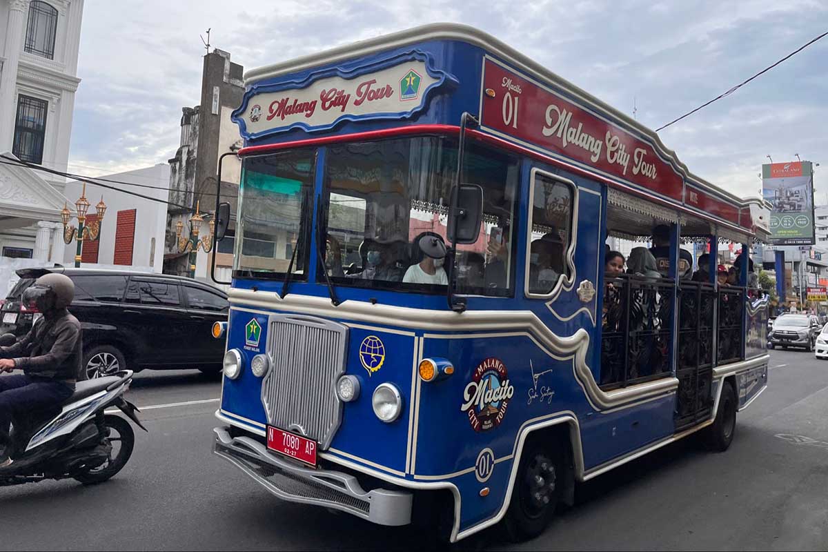 bus-macito
