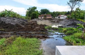 Kondisi Embung Balongrejo di Desa Ngusikan, Kecamatan Ngusikan, Jombang. (wis) - Dinas PUPR Normalisasi Embung Balongrejo