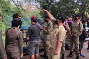 Petugas dari Pemkot Malang, saat mendatangi kio-kios pedagang kucing di Splendid. (ist) - Dispangtan Kota Malang Akan Disinfeksi Kandang Kucing di Splendid