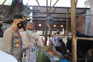 Proses vaksinasi pada hewan ternak. (ist) - 10 Ribu Ekor Sapi di Kabupaten Malang Sudah Divaksin