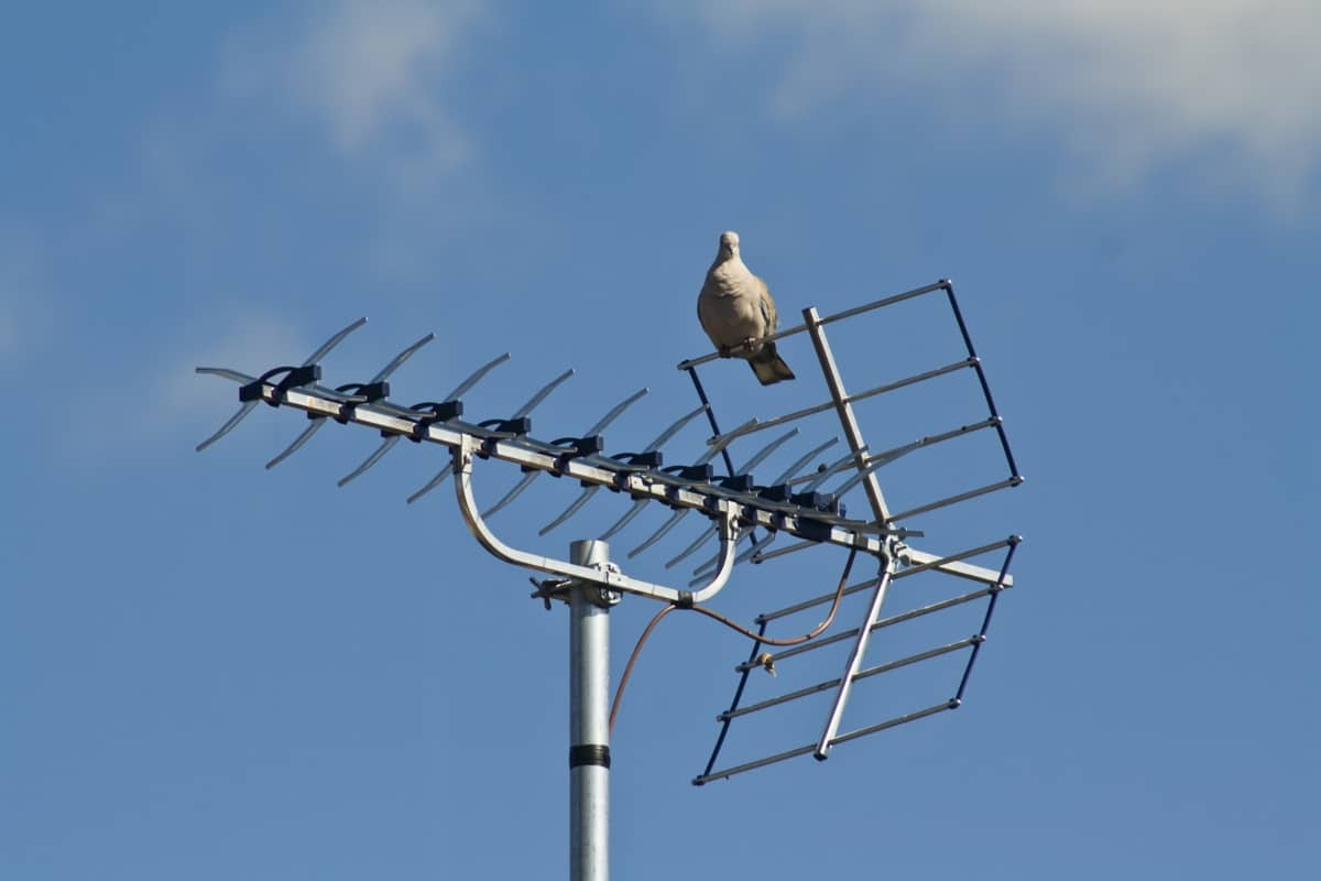 Antena televisi.