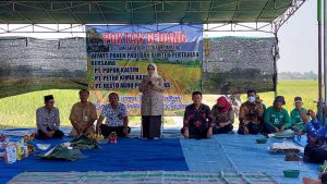 Bupati Jombang, Hj Mundjidah Wahab saat memberikan sambutan. (ful) - Kadis Pertanian: Petani Tidak Bisa Bertani Tanpa Adanya Kerjasama - Wiwit Panen Padi dan Bimtek Pertanian Poktan Gedang, Tambak Beras Jombang