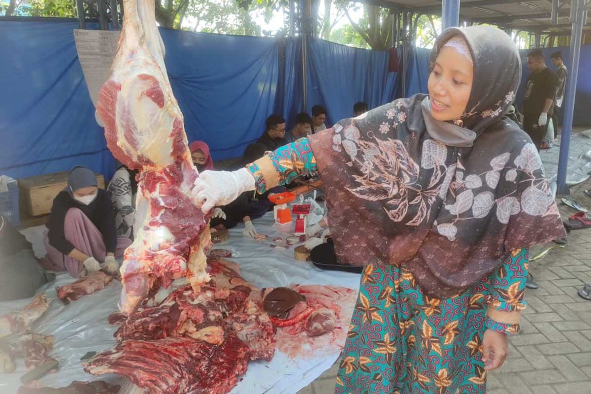 Daging hewan kurban dinyatakan bebas PMK. (rhd) - ITN Malang Sembelih 4 Sapi dan 5 Kambing, Dinyatakan Bebas PMK