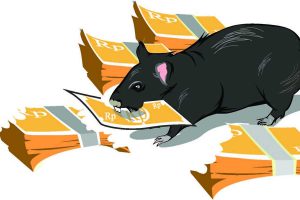 Foto ilustrasi tikus menggerogoti uang. (ist) - Gelapkan Puluhan Juta  ADD, Perangkat Desa Kalipare Ditahan