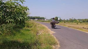 Jalan beraspal yang dibangun Pemdes Tlogoagung memanfaatkan dana BKD tahun 2021 - Tingkatkan Perekonomian Warga, Pemdes Tlogoagung Bangun Jalan Beraspal