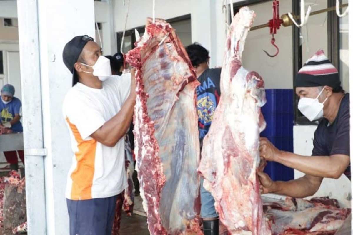 Kegiatan panitia kurban melakukan proses pemotongan hewan di Masjid Misbahussudur. (ist) - Wakil Wali Kota Batu Serahkan Sapi kepada Takmir Masjid Misbahussudur