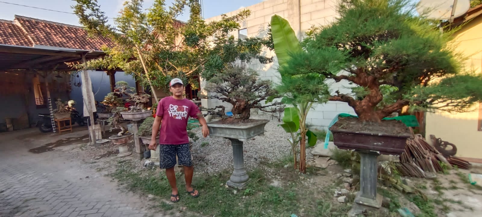 Nanang bersama sejumlah bonsai koleksinya di rumahnya di Kota Bojonegoro - Dua Tahun Rela Tak Digaji, Kini Nanang Jadi Programmer Bonsai Handal di Indonesia