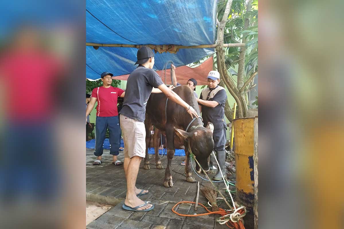 PMK Tak Surutkan Warga Perum Jasatirta untuk Kurban di Idul Adha