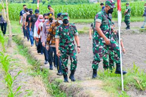 Pangdam V/Brawijaya Tanam Bibit Jagung Dalam Rangka Ketahanan Pangan