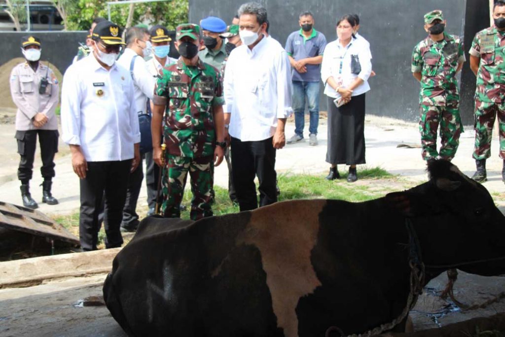 Pemkot Malang melibatkan unsur TNI-Polri dan jajaran dalam penanganan PMK. (ist) - Satgas PMK Gencarkan Pembinaan dan Penyuluhan Pedagang Hewan Kurban