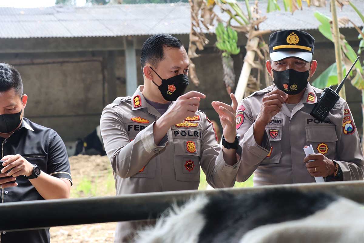 Pengecekan kendaraan angkutan yang membawa hewan ternak yang keluar maupun masuk Kabupaten Malang. (ist) - Penyekatan Hewan Ternak dan Penyuntikan Vaksin Terus Dilaksanakan
