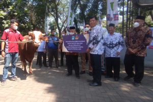 Penyerahan hewan kurban oleh Bupati Malang HM Sanusi kepada PGRI. (ws6) - 80 Persen Hewan Terpapar PMK di Kabupaten Malang Sembuh