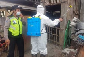 Personel Polsek Pujon melakukan penyemprotan kandang ternak dengan desinfektan. (ist) - Cegah Wabah PMK, Polres Batu Tetap Gencarkan Penyemprotan Desinfektan