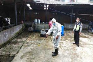 Polsek Pujon lakukan penyemprotan desinfektan dan patroli dialogis ke peternak di Pujon. (ist) - Polres Batu Lanjutkan Patroli Dialogis, Sambang Peternak