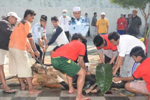 Proses penyembelihan hewan kurban di Lapas Kelas I Malang. (ist) - Kehangatan dalam Perayaan Idul Adha 1443 H di Lapas Kelas I Malang