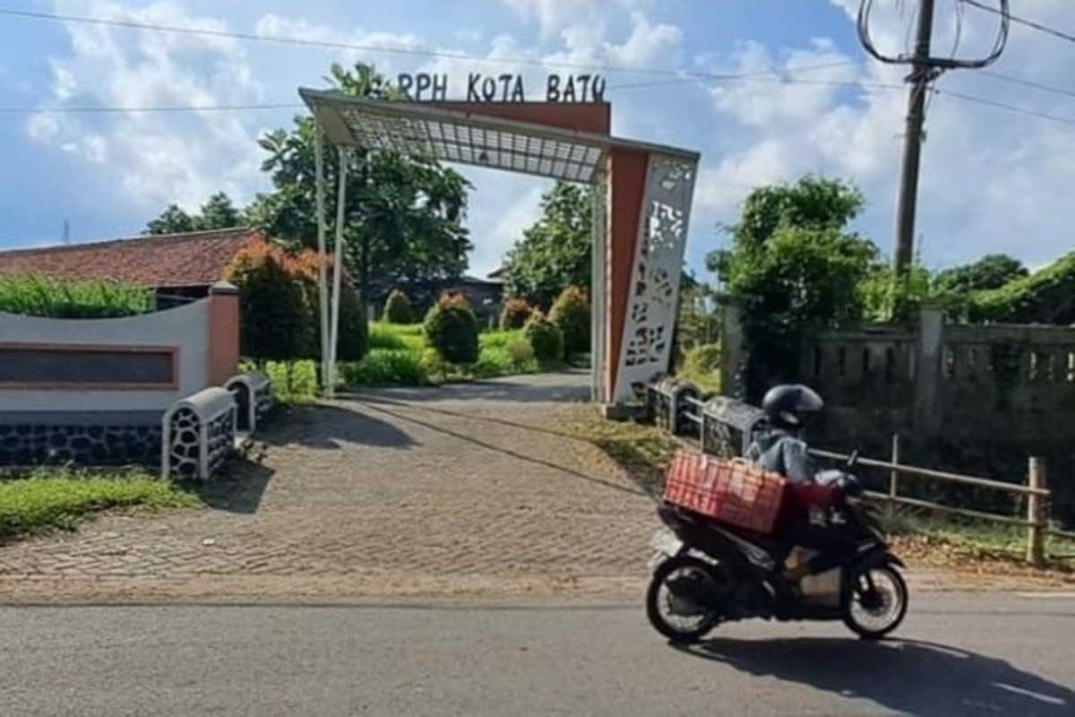 Rumah Potong Hewan Junrejo Batu. (dik) - Pemkot Batu Menghimbau Sapi Kurban Dipotong di RPH
