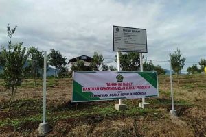 ilustrasi sebidang tanah wakaf. ist.