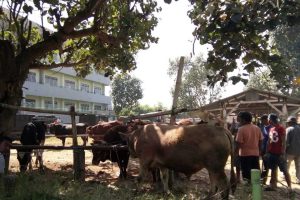 Pasar Patok di Kelurahan Sisir Batu Saat masih beroperasi. (ist) - Rencana Pemindahan Pasar Hewan Kota Batu Masih Sekadar Wacana