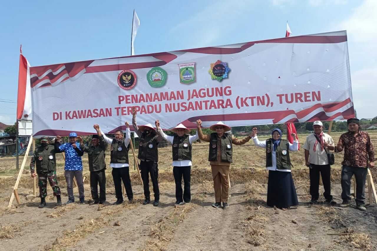 proses penanaman biji jagung di turen