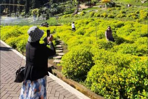 salah satu aktivitas wisata di obyek wisata di batu. dik 1