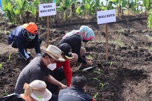 Gerakan Tanam Tanaman Pangan Oleh Pemerintah Kota Batu. (ist) - Gerakan Tanam Tanaman Panganan, Cara Pemkot Batu Kendalikan Inflasi Daerah