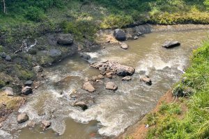 salah satu aliran sungai di kota malang