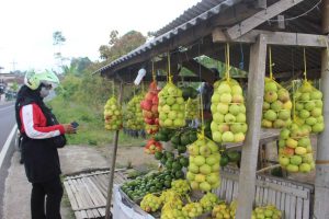 salah satu bedak warga yang menjual apel