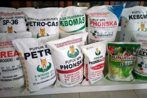 pupuk kemasan 50 kilogram ist