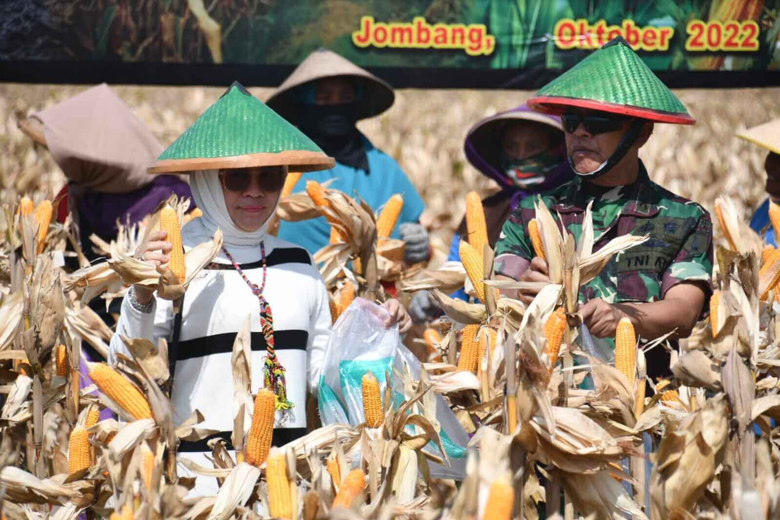 danrem 082 cpyj panen raya perdana jagung dan penyebaran benih ikan