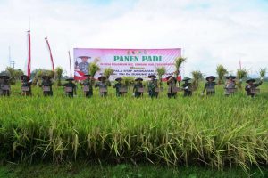 pangdam v brawijaya mendampingi jenderal tni dr. dudung abdurachman dalam panen raya padi