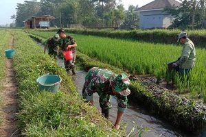 Babinsa Wonokoyo bantu petani bersihkan saluran irigasi. (ist)