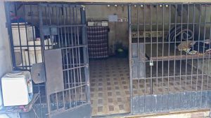 Kerangkeng manusia di rumah Bupati Langkat. (ist) - Anak Bupati Langkat Divonis 1 Tahun 7 Bulan Bui Kasus Kerangkeng Manusia