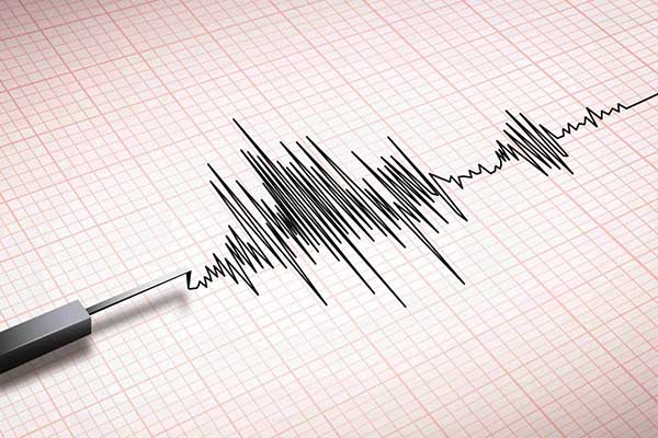 Seismograf. (ist) - Gempa M 5,6 Guncang Cianjur, Terasa Hingga Jakarta