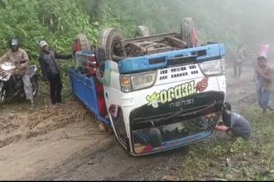 truk muatan pisang terguling