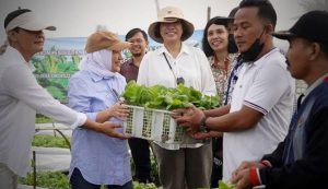 bojonegoro siapkan pupuk non subsidi bagi petani tembakau