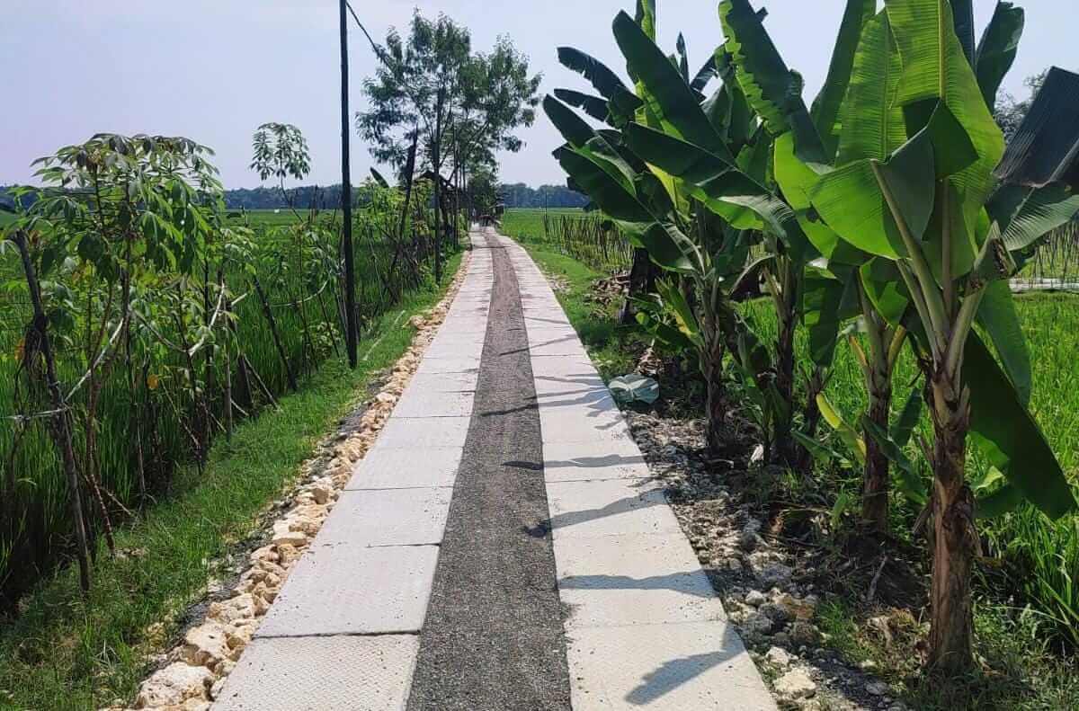 pemerintah kabupaten bojonegoro terus merealisasikan program jalan usaha tani