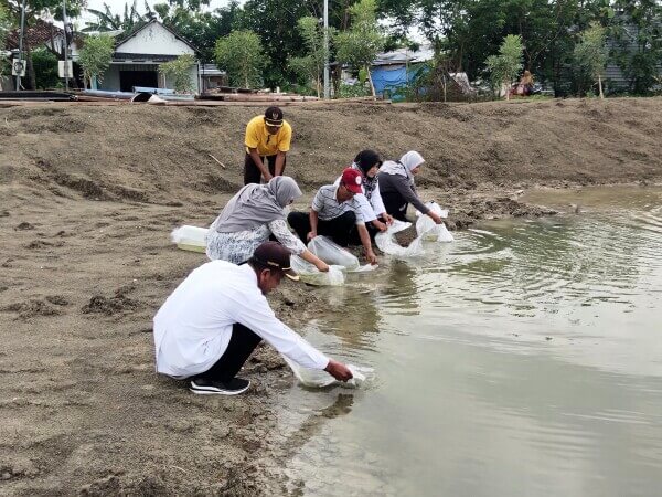 pemkab bojonegoro tebar ribuan benih ikan