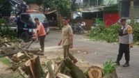 Babinsa Kedungkandang bersama warga tangani pohon tumbang Jalan Rajasa. (ist) - Tanggap Bencana, Babinsa Kedungkandang Bersama Warga Tangani Pohon Tumbang Jalan Rajasa