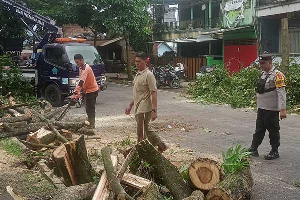 Babinsa Kedungkandang bersama warga tangani pohon tumbang Jalan Rajasa. (ist) - Tanggap Bencana, Babinsa Kedungkandang Bersama Warga Tangani Pohon Tumbang Jalan Rajasa