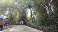 Nuansa alam Wisata Bambu Mewek Park dengan tanaman bambunya. (ws7) - Pengelola Wisata Bambu Mewek Park Keluhkan Minimnya Akses - Pemkot Malang dorong gandeng ITN Malang bikin masterplan