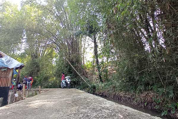 Nuansa alam Wisata Bambu Mewek Park dengan tanaman bambunya. (ws7) - Pengelola Wisata Bambu Mewek Park Keluhkan Minimnya Akses - Pemkot Malang dorong gandeng ITN Malang bikin masterplan