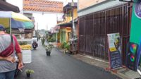 Sejumlah pot tanaman yang dipasang di tengah jalan aspal baru menuju Jembatan Pelor. (ws7) - Ingatkan Pengendara Ngebut, Warga Jembatan Pelor Pasang Pot dan Spanduk