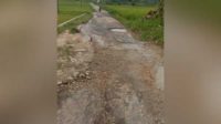 Jalan rusak parah di perbatasan Jl Desa Ragang- Bajur, Kecamatan Waru, Kabupaten Pamekasan, Jawa Timur, Minggu (5/2/23). (luq) - Mahasiswa Keluhkan Kerusakan Jalan, PUTR Klaim 2023 Nihil Anggaran
